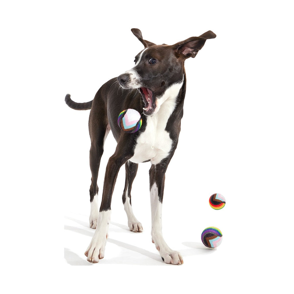 Fetch is Fetch Plush Multi-Part Dog Toy