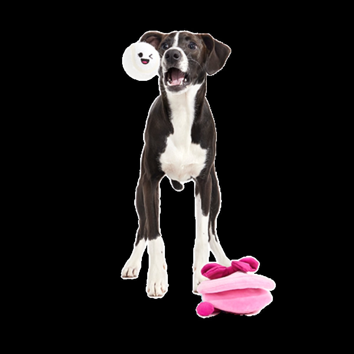 Clamantha Plush Multi-Part + Fetch + Enrichment Dog Toy