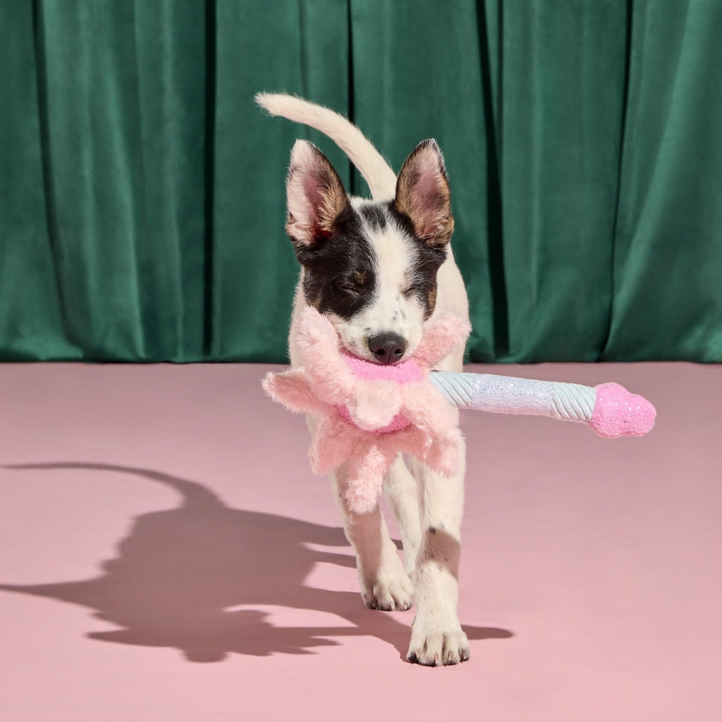 Glinda's Good Wand Plush Tug Dog Toy