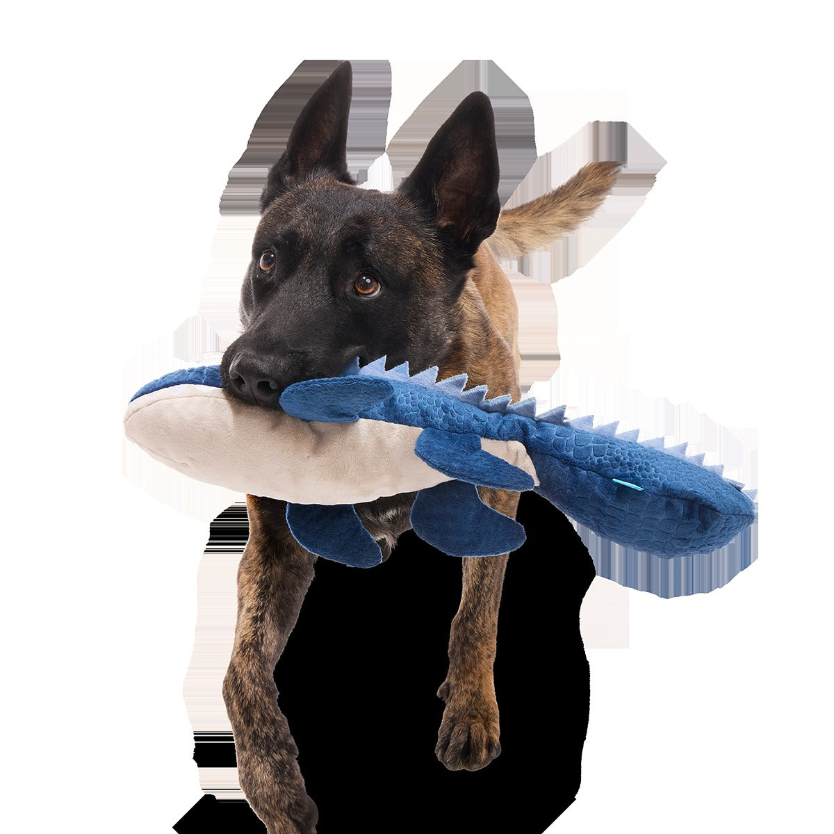 Mosasaurus Plush 2-in-1 + Tug Dog Toy