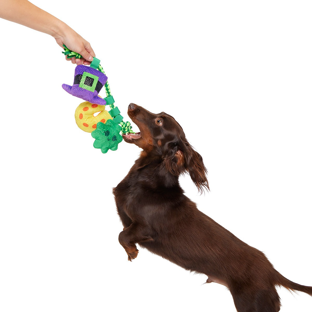 Tuggy Charms Plush Tug Dog Toy