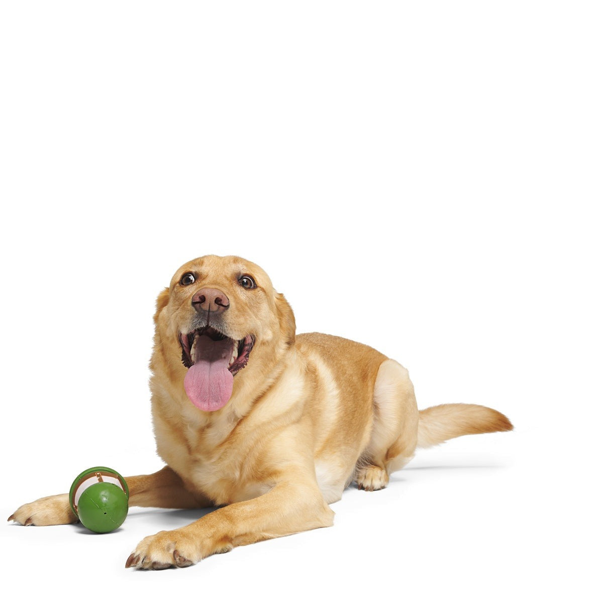 Leder Buddy Super Chewer Durable Dog Toy