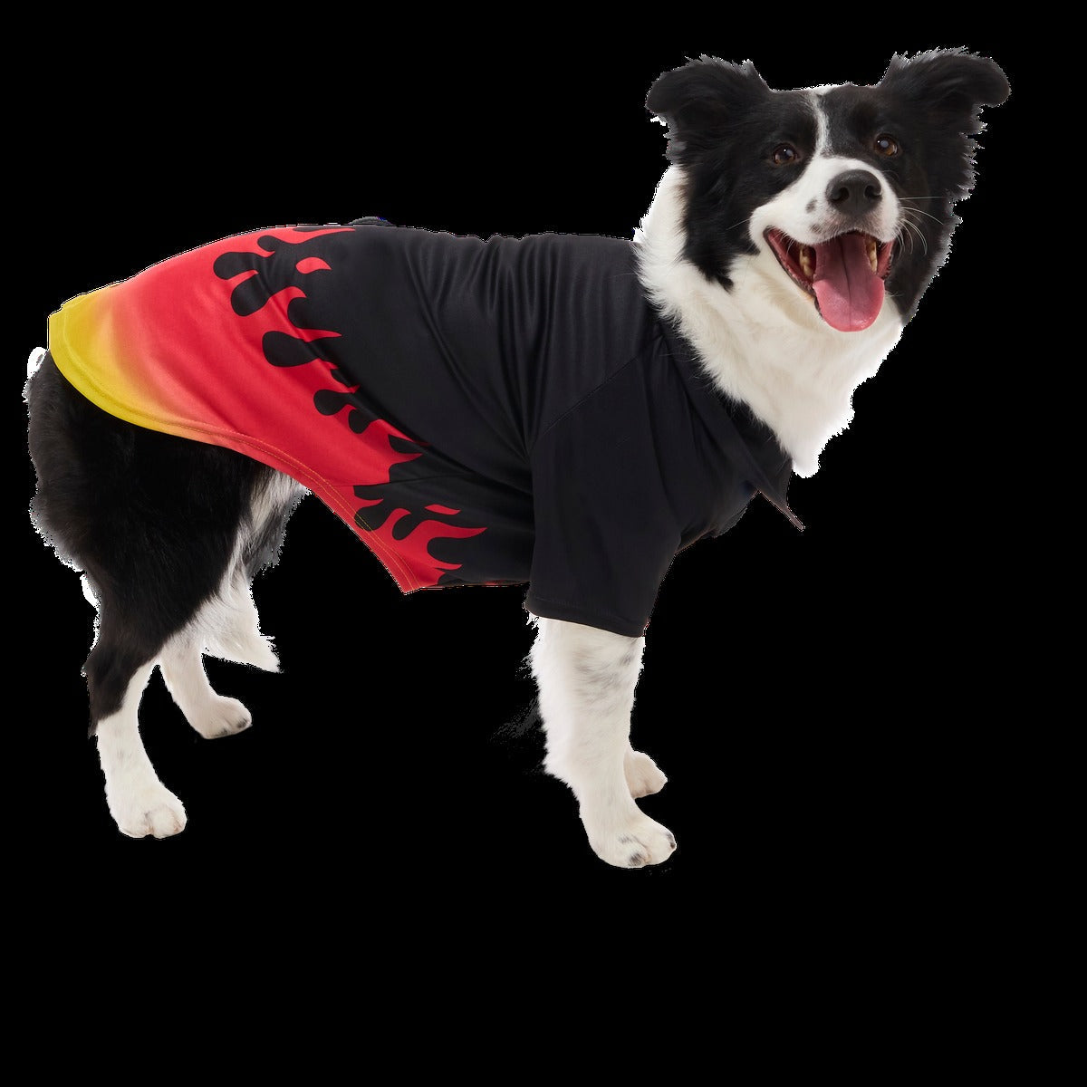 Flame Broiled Button-Down Dog Shirt