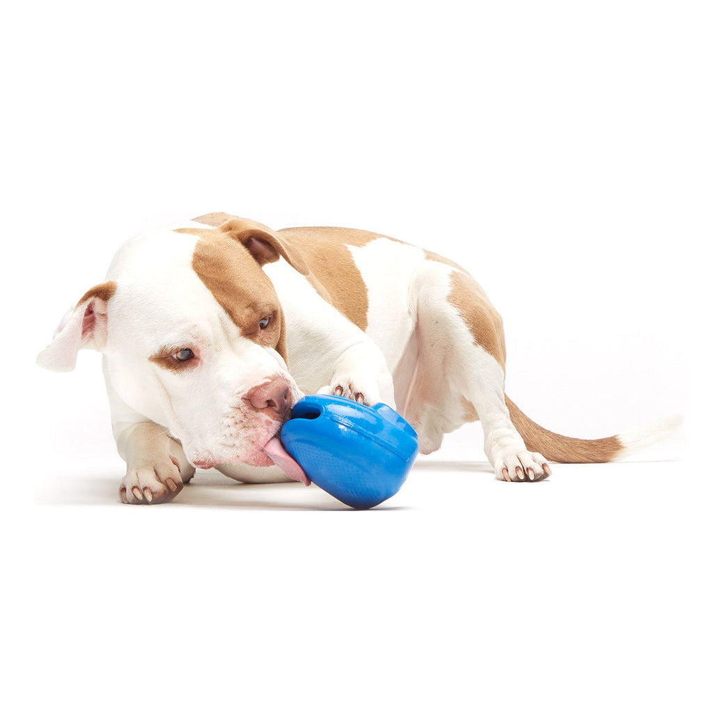 Knapsack Super Chewer Durable Enrichment Dog Toy