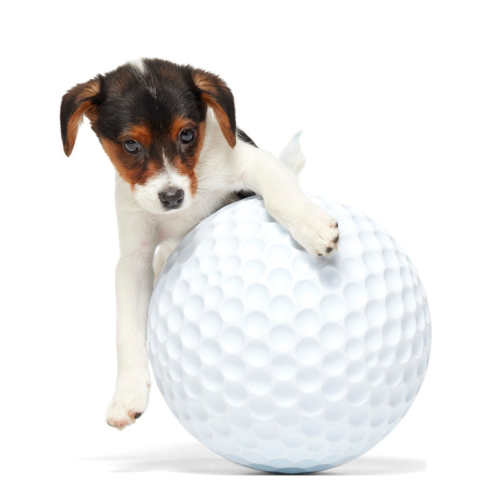 Big Swing Golf Ball Super Chewer Durable Extra-Large + Fetch Dog Toy