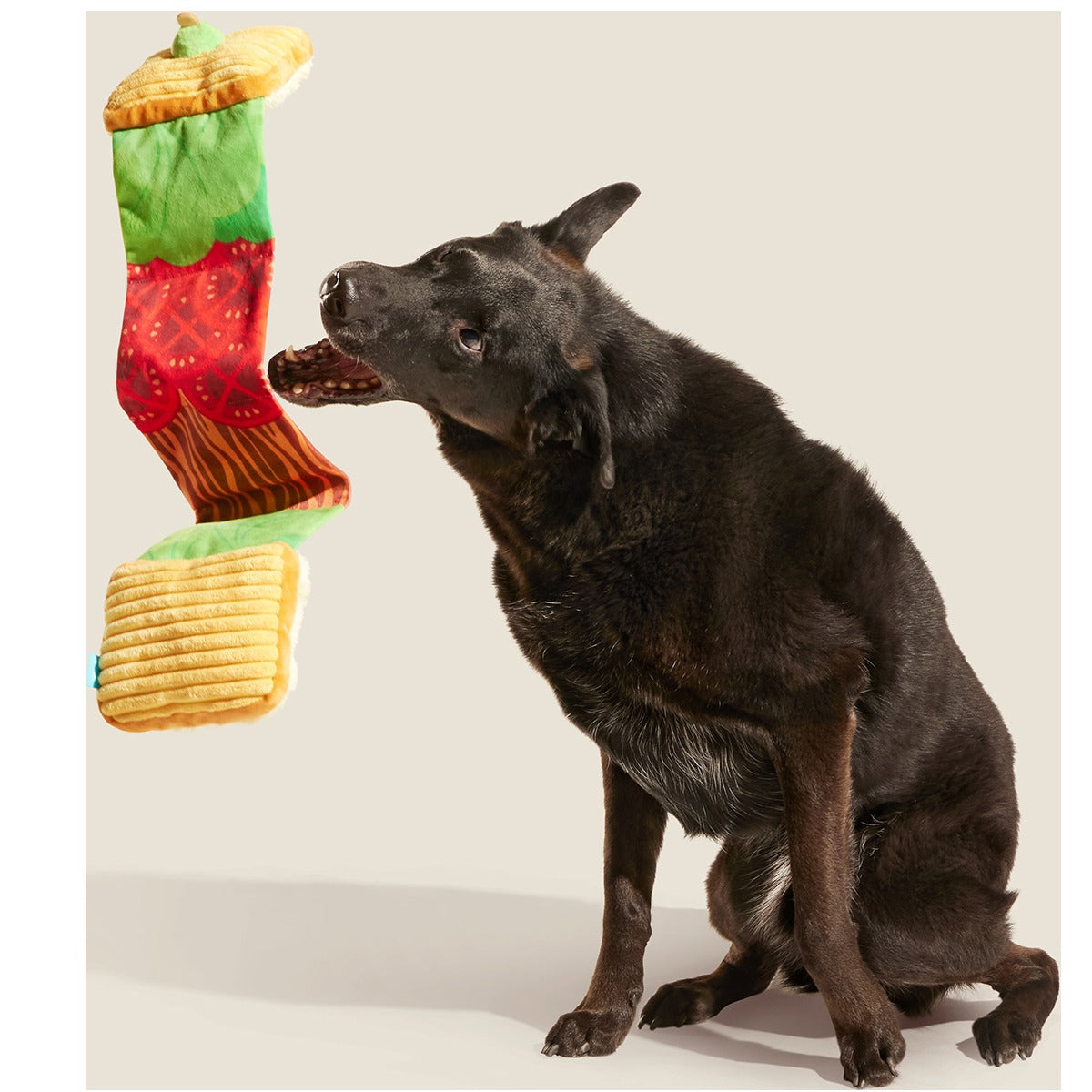 Barkin, Lettuce & Tomutto Plush Tug Dog Toy