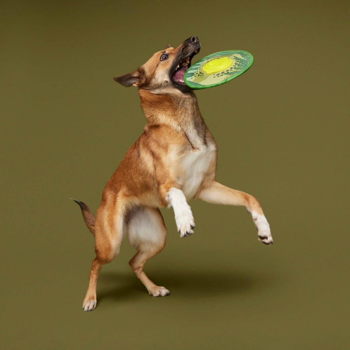 Dino Fling Ring Durable Super Chewer Fetch Dog Toy