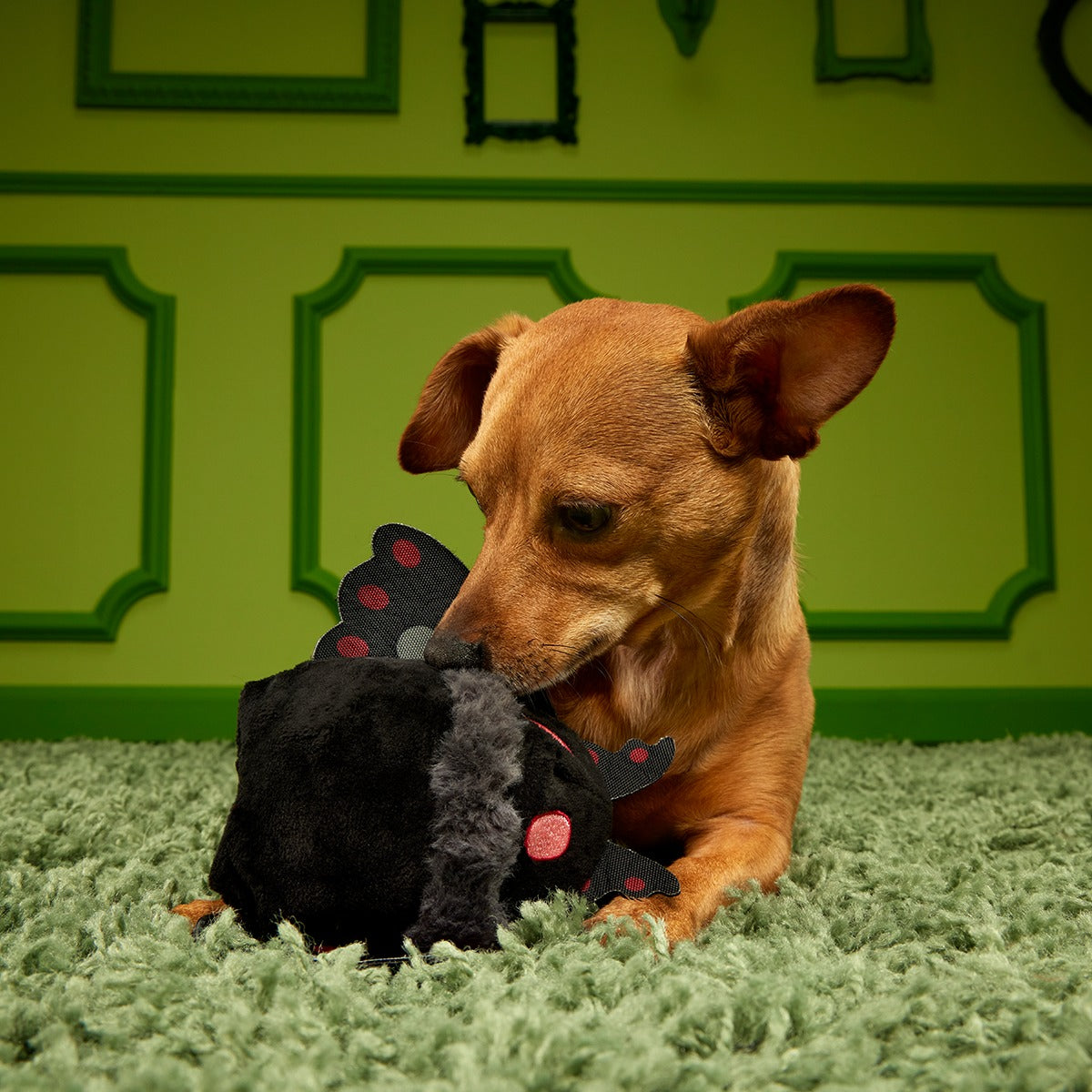 Mothmutt Super Chewer Durable 2-in-1 + Enrichment Dog Toy