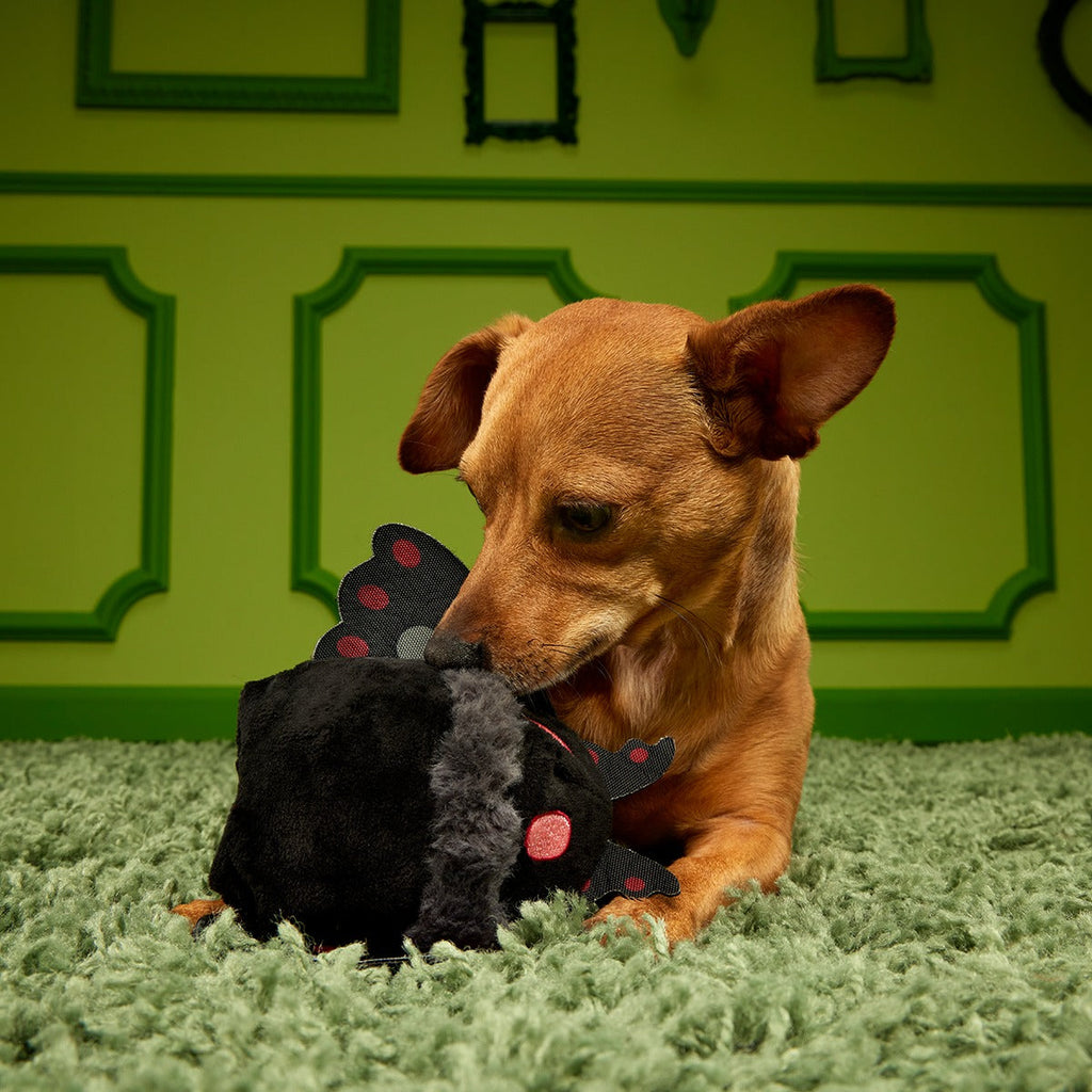 Mothmutt Super Chewer Durable 2-in-1 + Enrichment Dog Toy