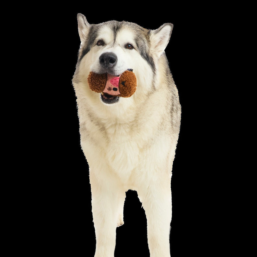 Mean Mad Marv Durable Super Chewer Dog Toy
