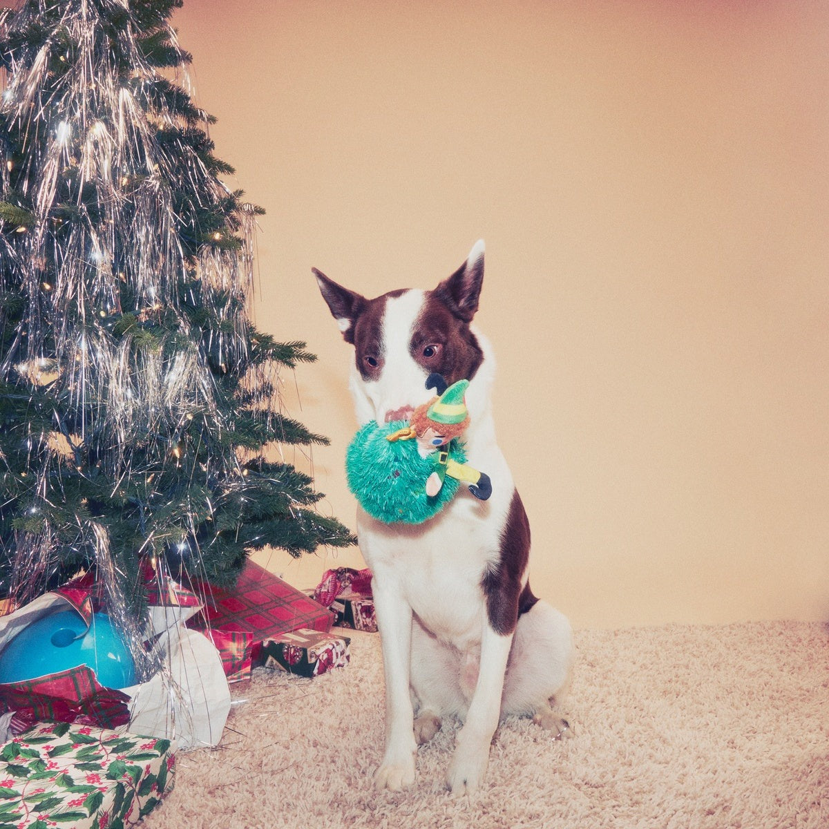 Tree Topper BuddyTM Plush Dog Toy