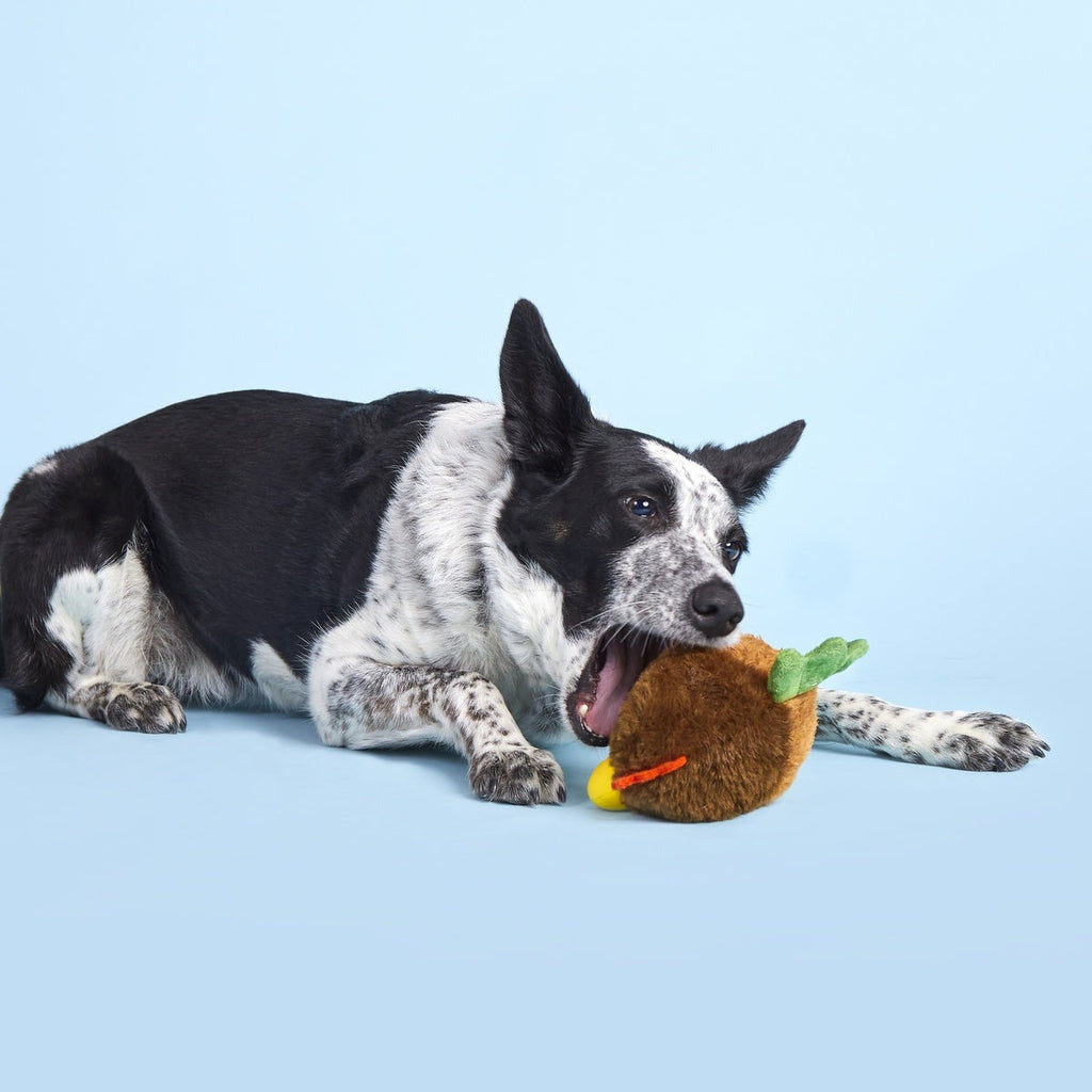 Fowl Play Super Chewer Durable 2-in-1 + Enrichment Dog Toy