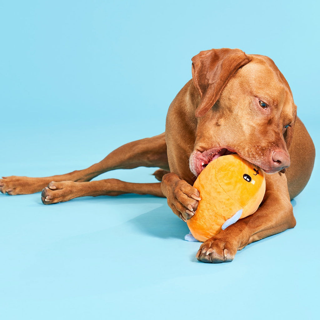 Santiago Seal Plush 2-in-1 + Tug Dog Toy