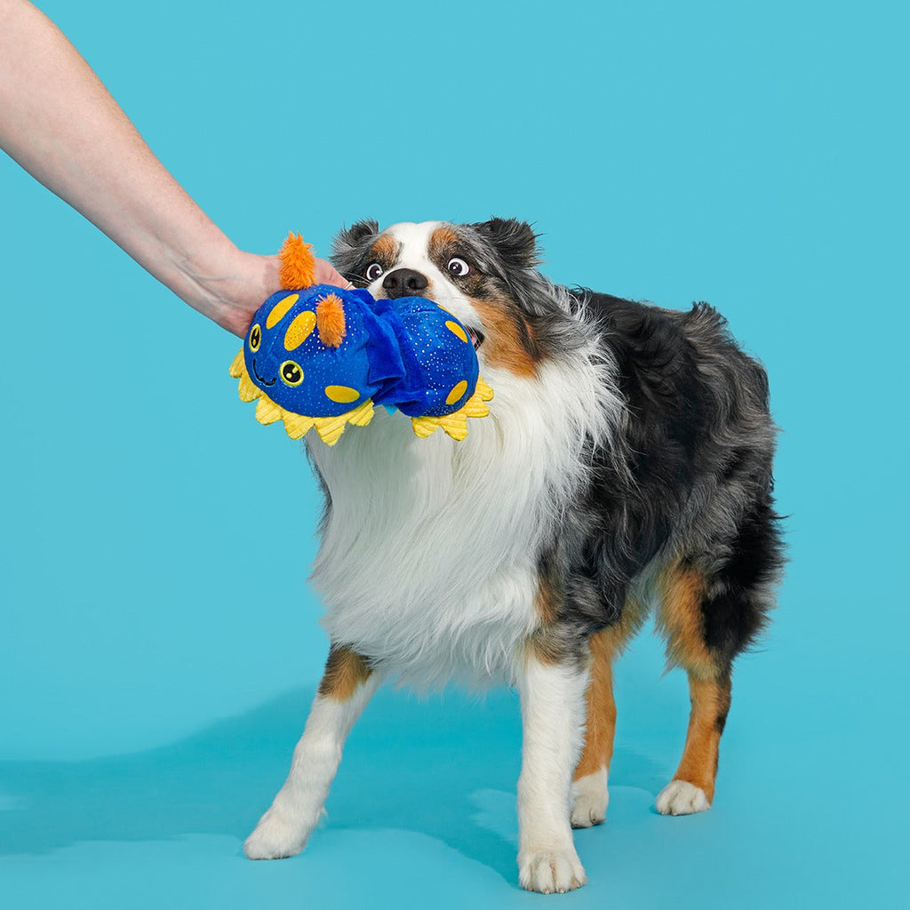 CeCe Slug Plush Tug Dog Toy