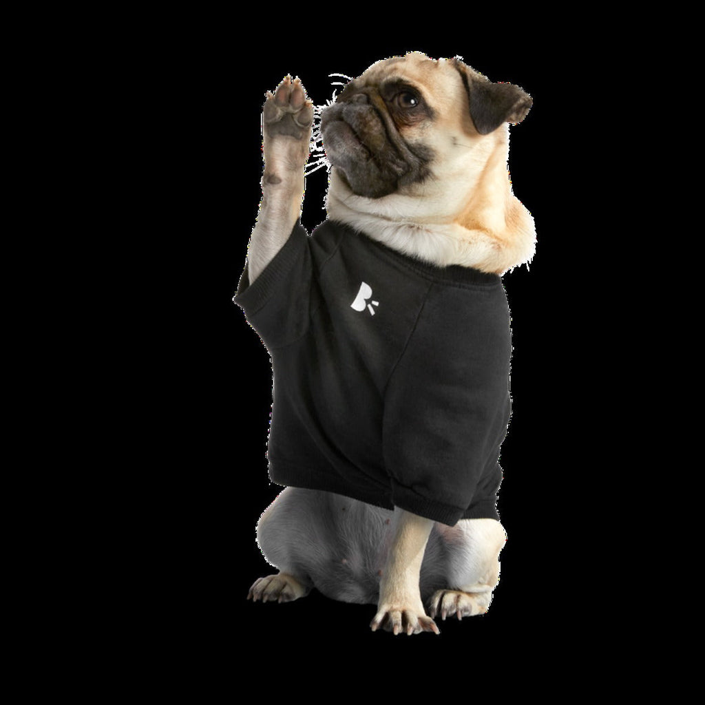 Anti-Squirrel Squirrel Club Dog Sweatshirt