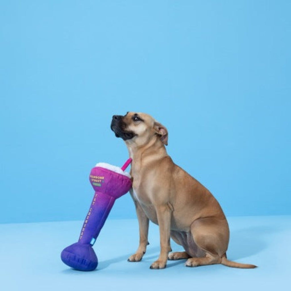 Frenchie Quarter Cocktail Plush Dog Toy