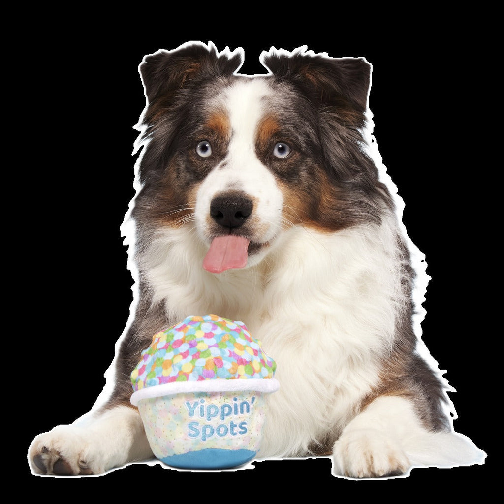 Yippin' Spots Ice Cream Plush Fetch Dog Toy