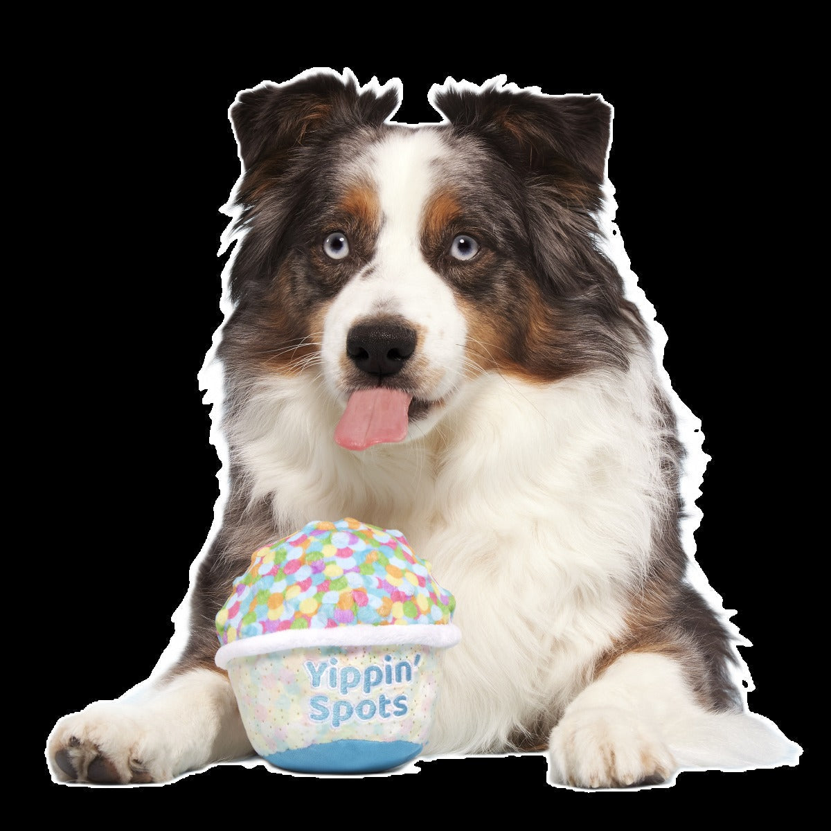Yippin' Spots Ice Cream Plush Fetch Dog Toy