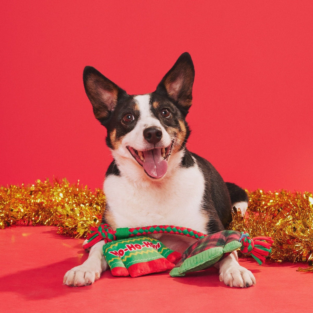 Christmutts Sweater Tug and Rope Plush Tug Dog Toy