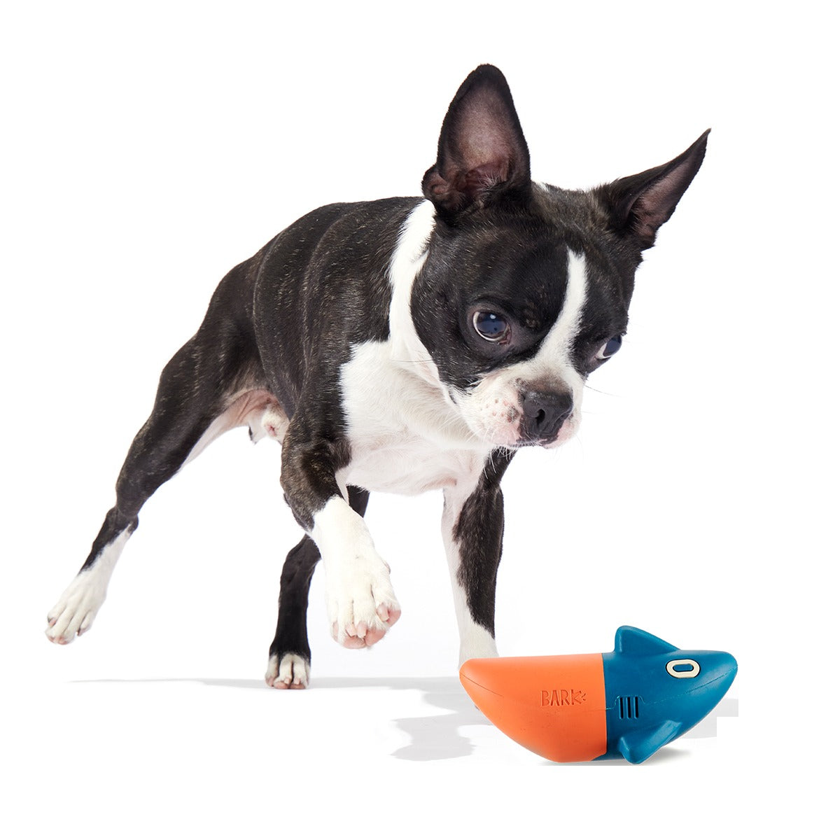 Jump the Shark Super Chewer Durable Fetch Dog Toy