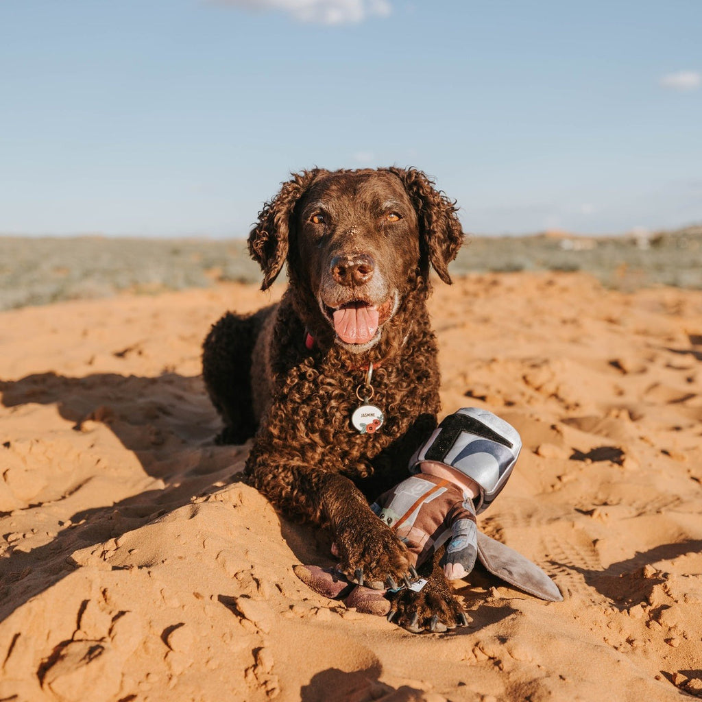 The MandalorianTM Bounty Fetcher Plush Tug + Multi-Part Dog Toy