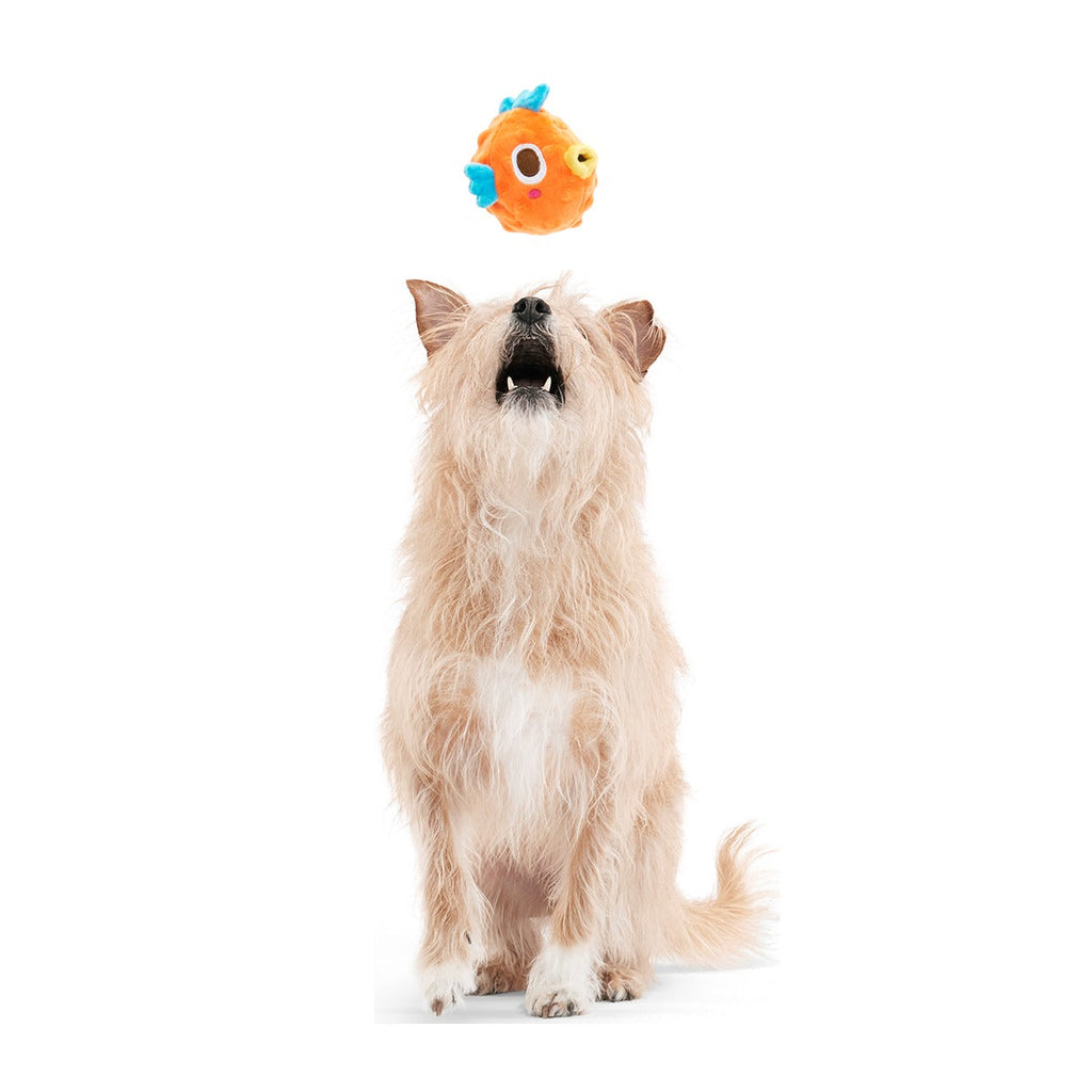 Air Head Plush 2-in-1 + Fetch Dog Toy