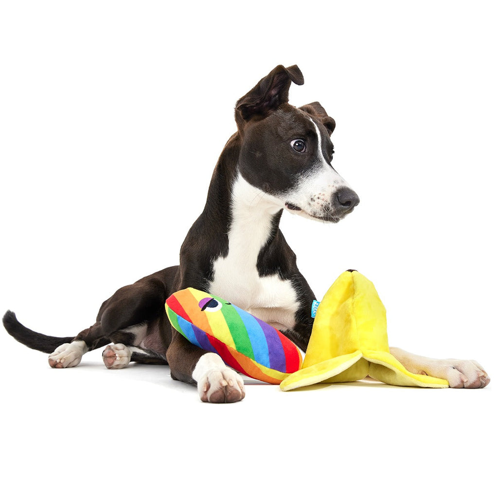 Top Banana Plush Multi-Part + Enrichment Dog Toy