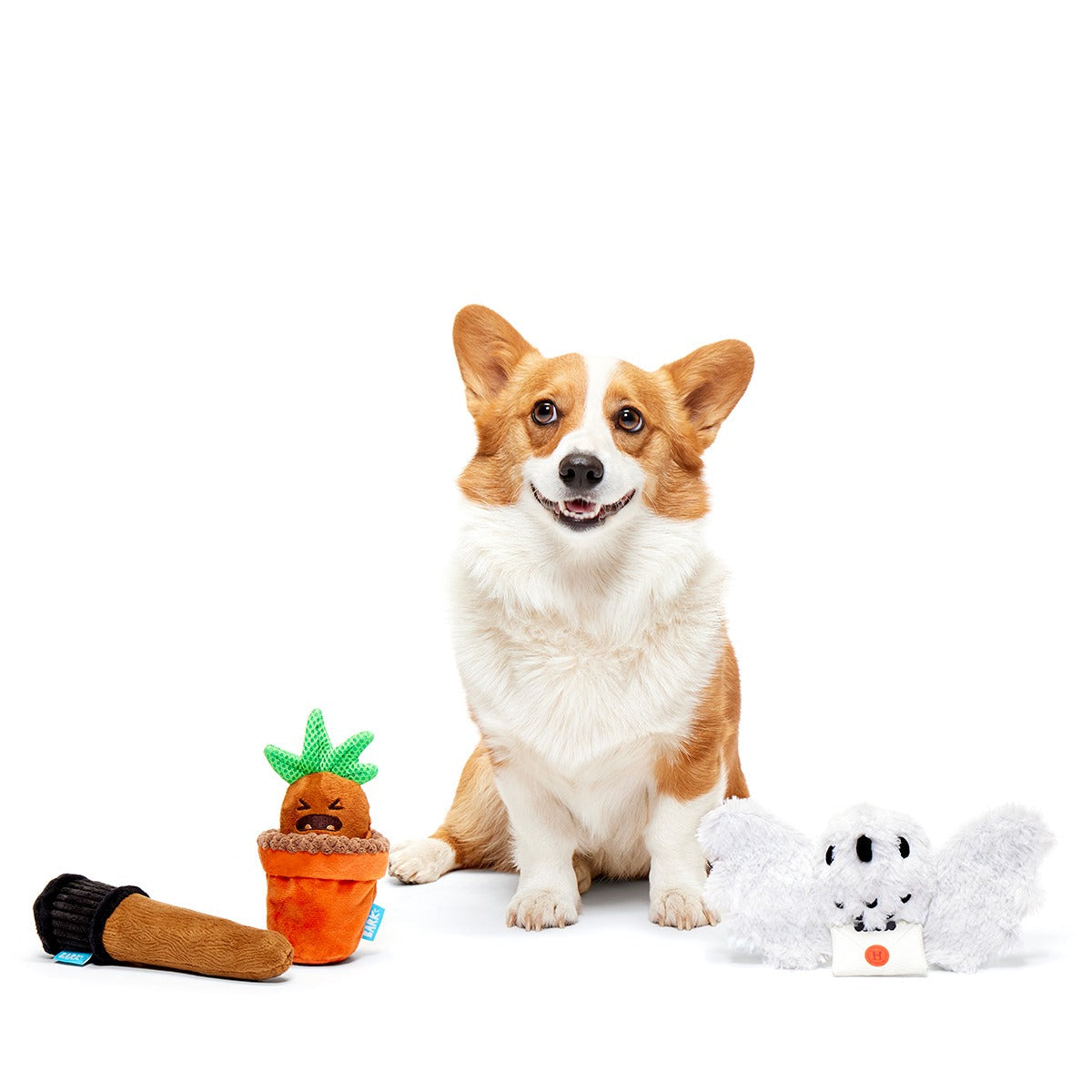 HARRY POTTERTM BarkBox - One Month Gift Box