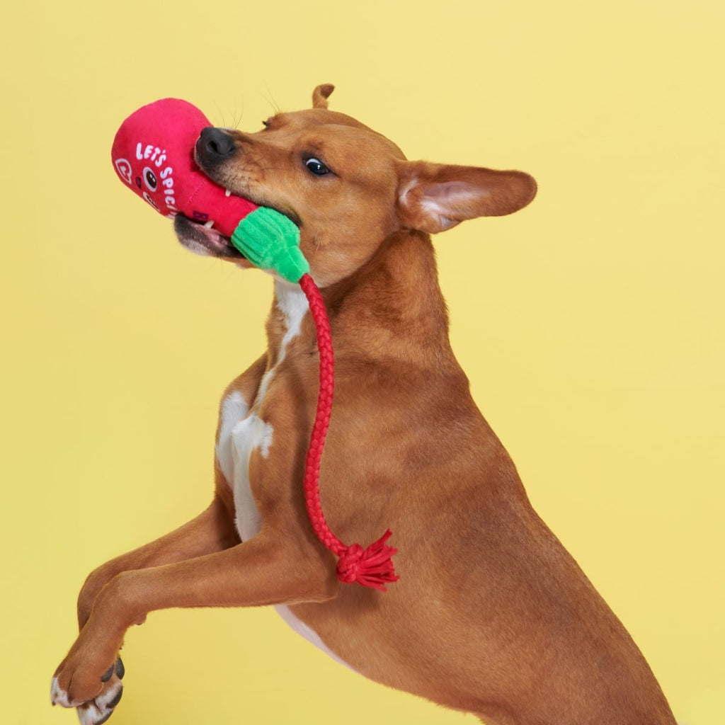 Hot Stuff Plush Tug Dog Toy