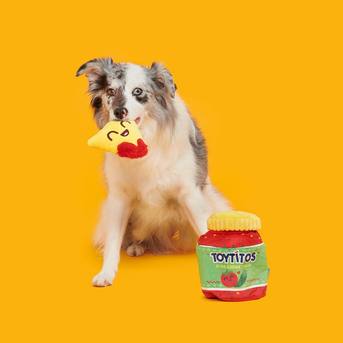 Yip & Salsa Plush Multi-Part + Enrichment Dog Toy