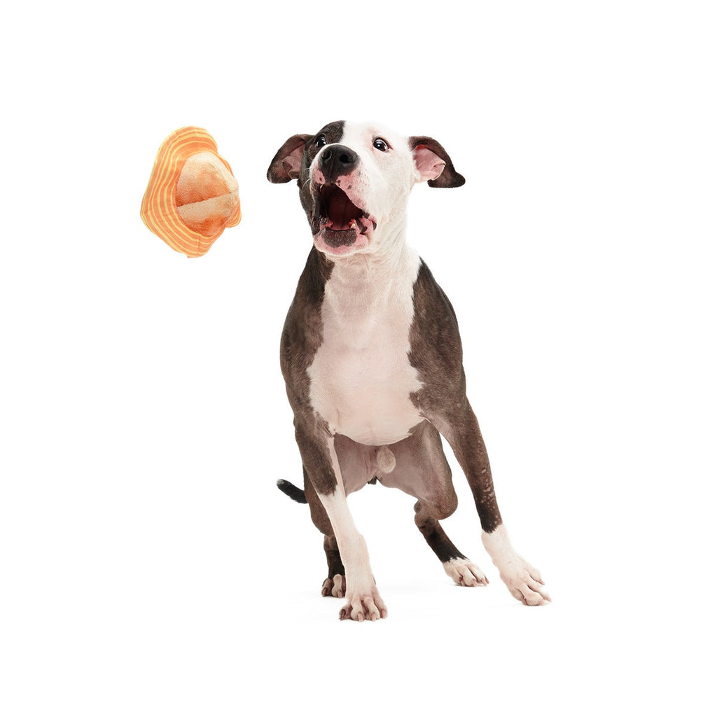 Flings Around Saturn Super Chewer Durable 2-in-1 + Fetch Dog Toy