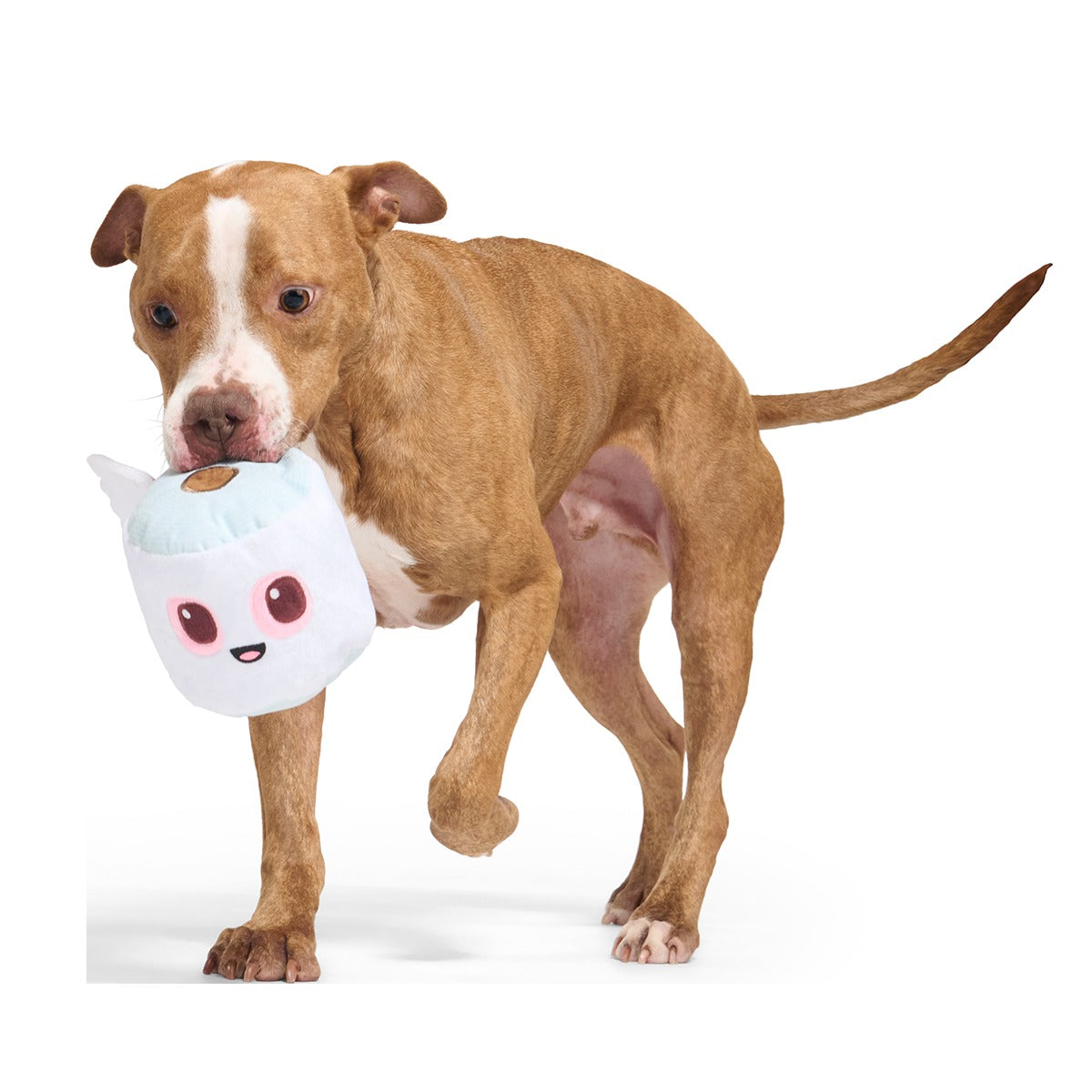 Pottymouth Pete Plush 2-in-1 + Tug Dog Toy