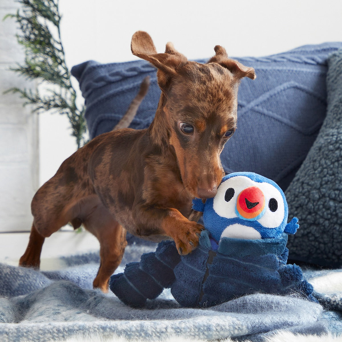 Puffer Puffin Plush Multi-Part + Enrichment Dog Toy