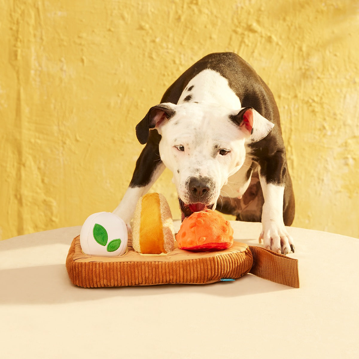 Antipawsto Board Plush Multi-Part + Enrichment Dog Toy