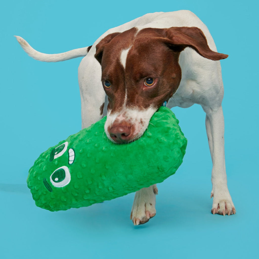 Big Dill Bill Plush Extra-Large + Tug Dog Toy