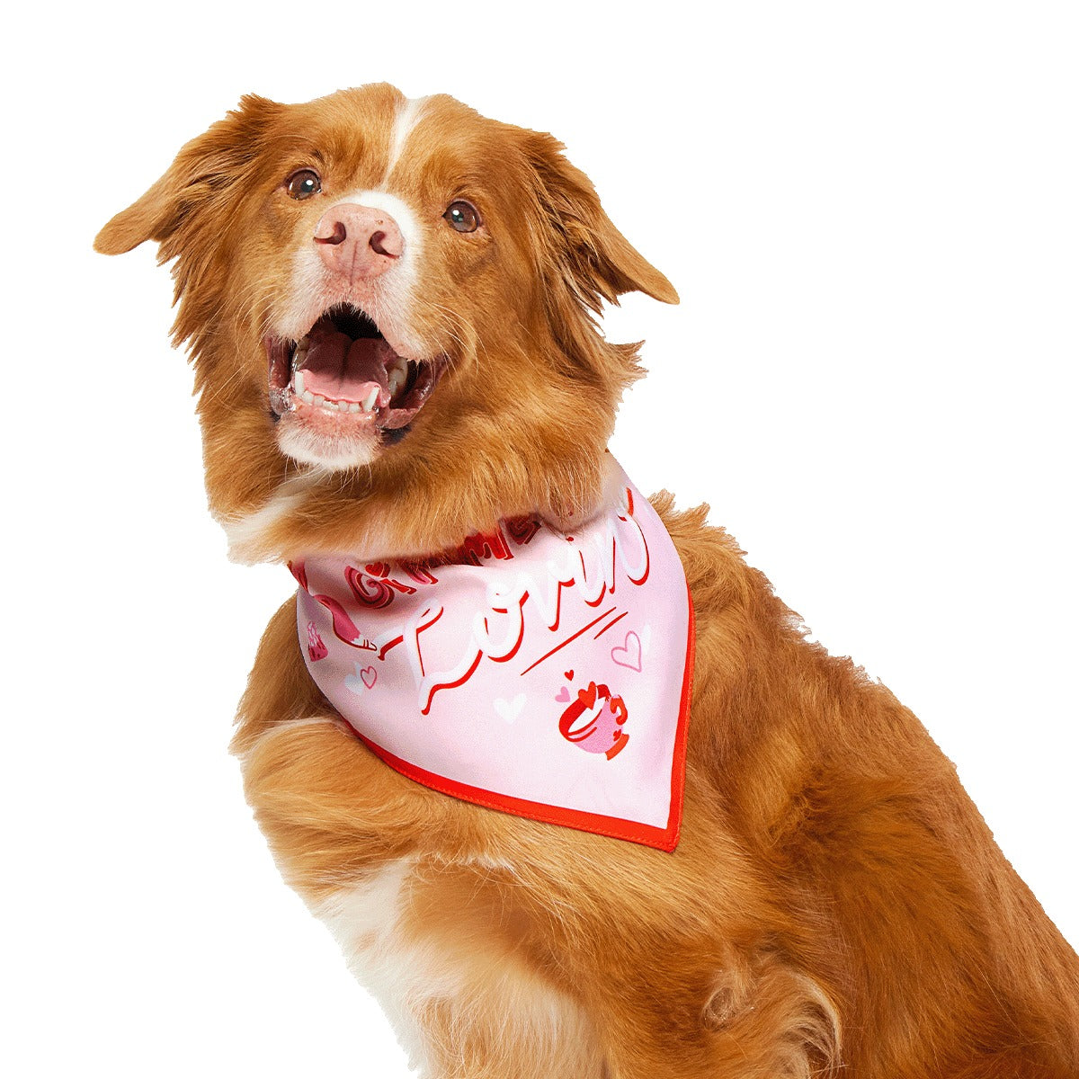 Valentine's Day Dog Bandana