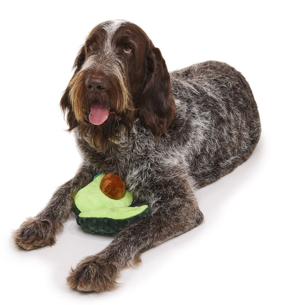 Arfocado Plush Enrichment + Tug Dog Toy