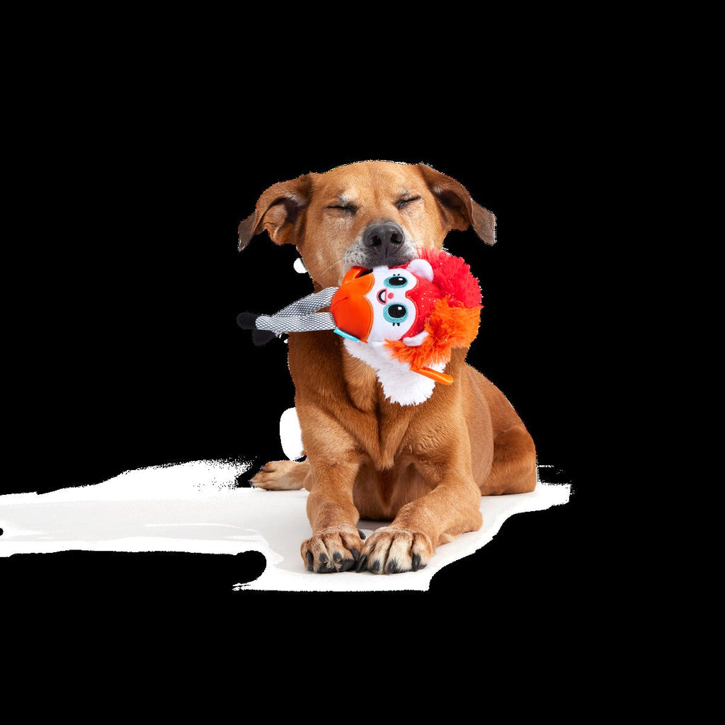 Showsquirrel Plush Tug Dog Toy