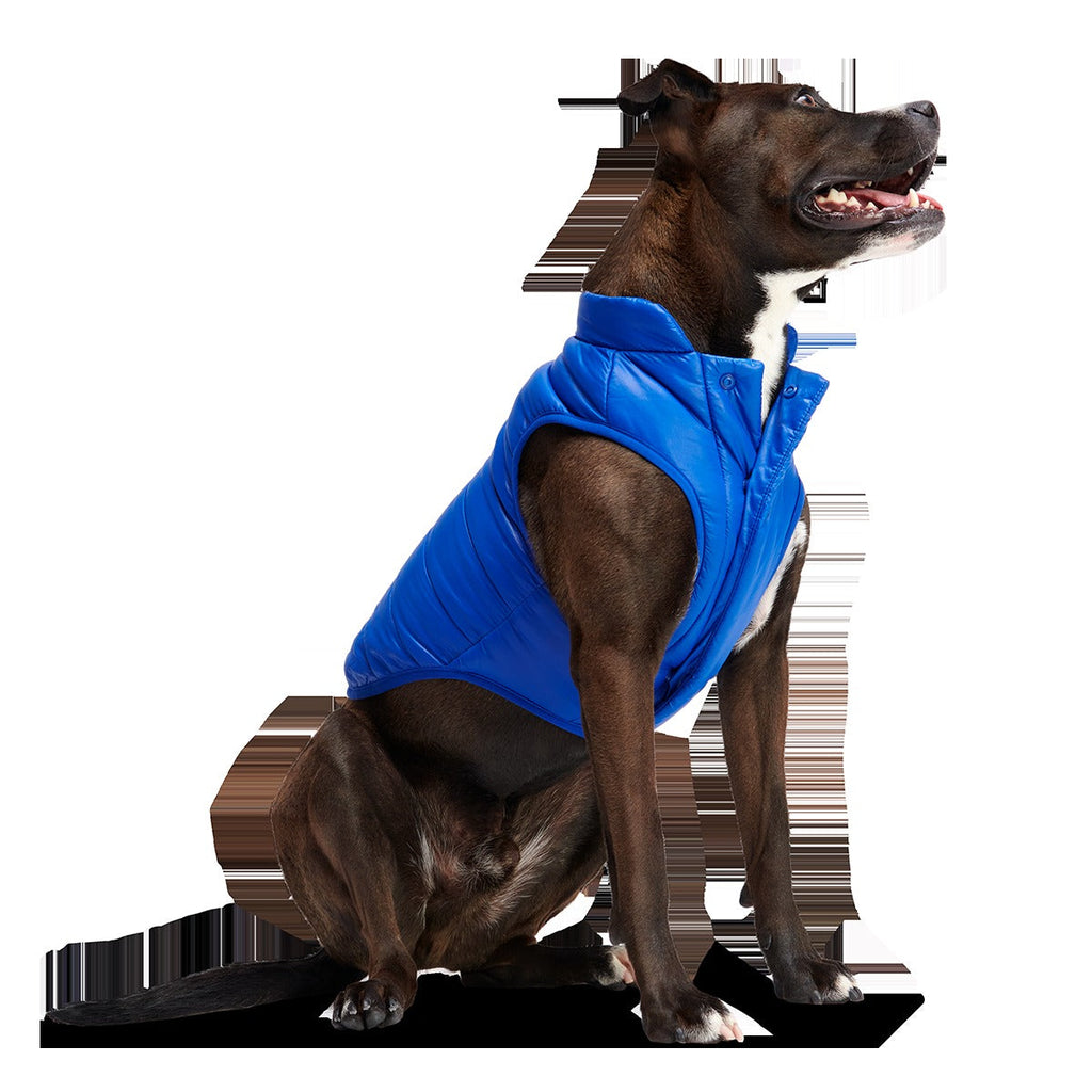 Puffer Dog Vest