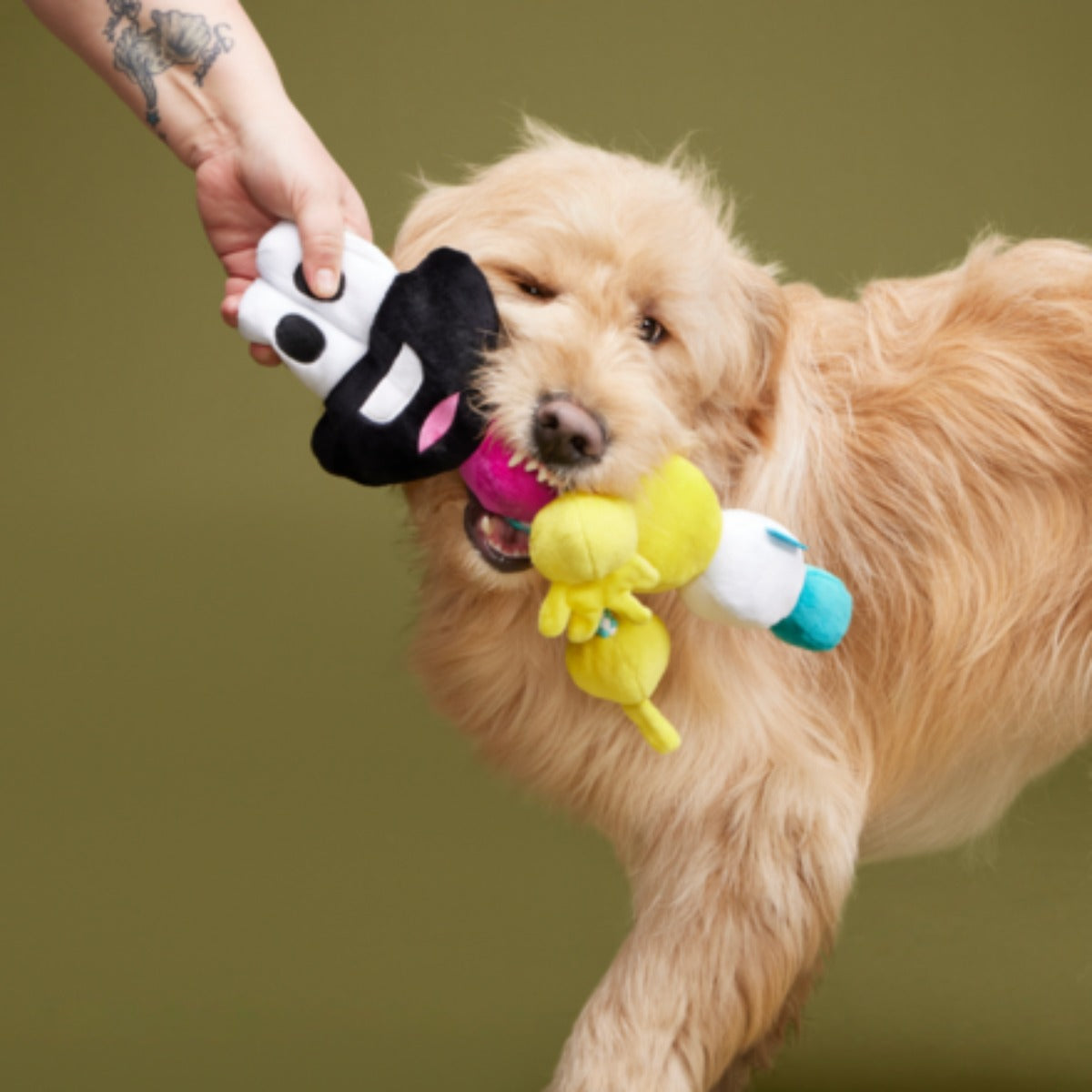 Mr. DNA Plush Tug Dog Toy