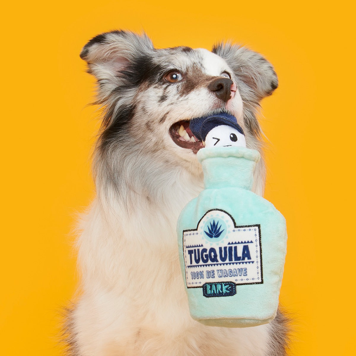 Tug-o-Worm Tugquila Plush Tug Dog Toy