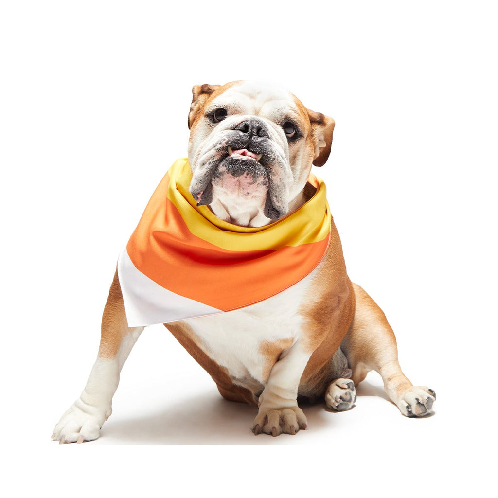 Candy Corn Dog Bandana