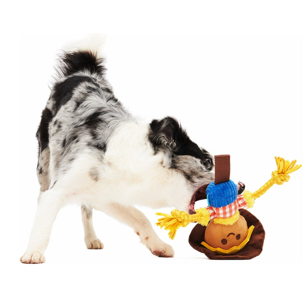 Not Scary Harry Plush Tug Dog Toy