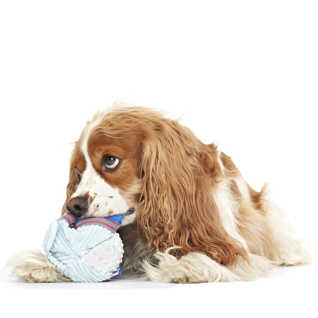 Gnar Ball Durable Super Chewer 2-in-1 Rip and Reveal Dog Toy
