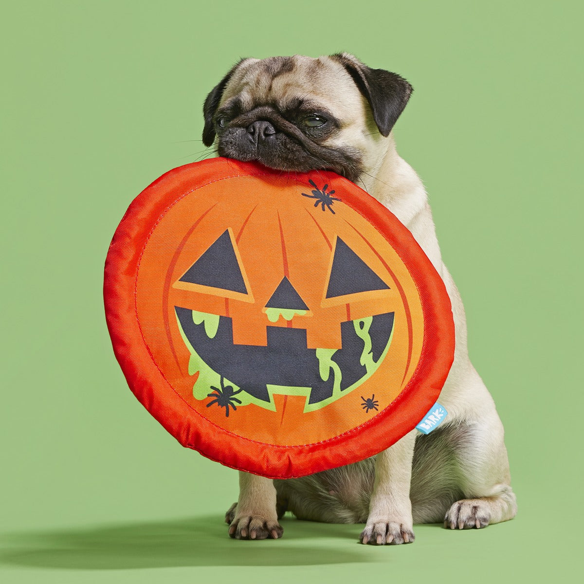 Jack-Throw-Lantern Plush Fetch Dog Toy