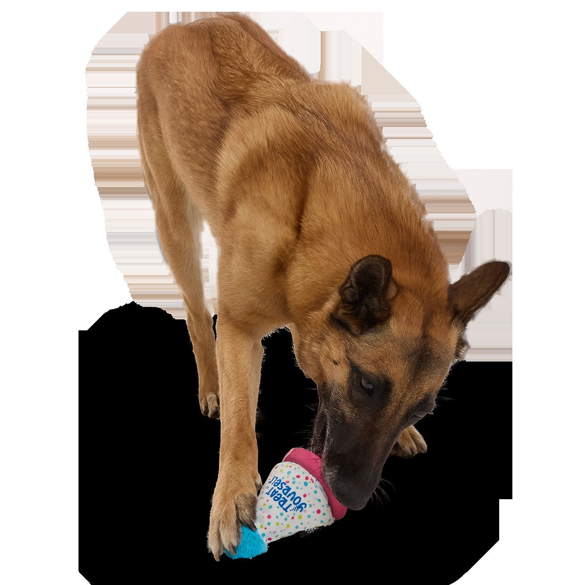 Treat Yourself Party Hat Super Chewer Durable 2-in-1 + Enrichment Dog Toy