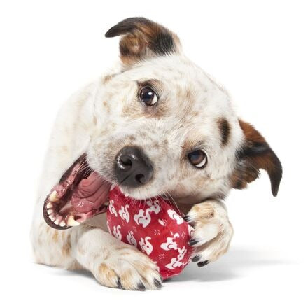White Smellephant Durable Super Chewer 2-in-1 Rip and Reveal Dog Toy
