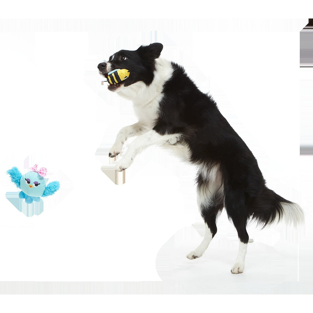 Spring Fling Plush Multi-Part + Fetch Dog Toy