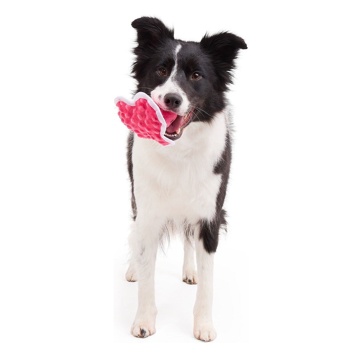 Melted Melanie Plush Tug Dog Toy