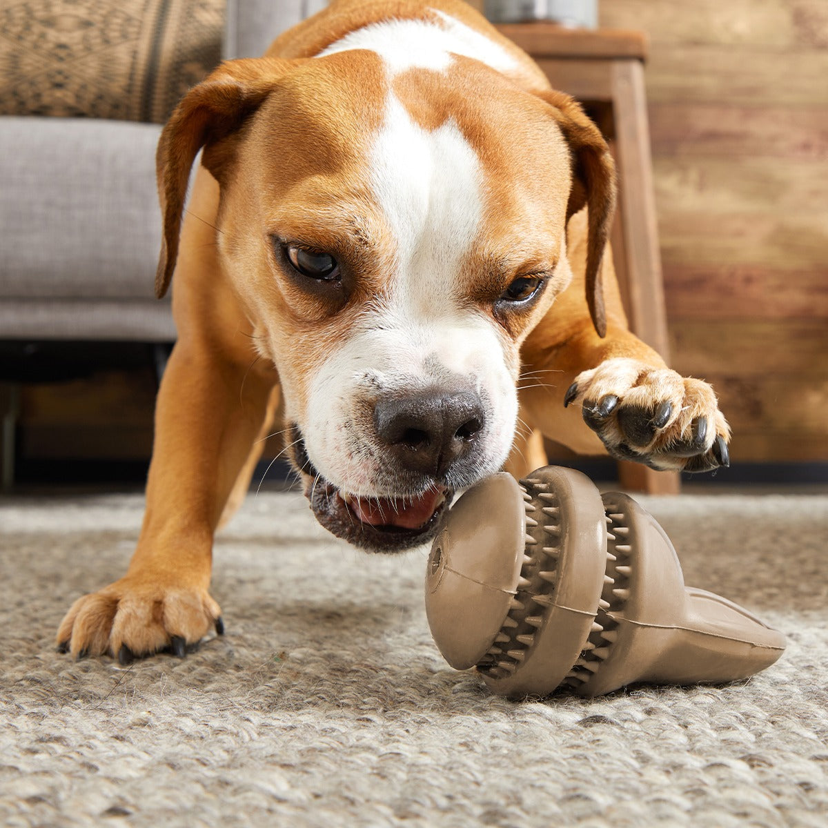 Hare Raiser Super Chewer Durable 2-in-1 + Enrichment Dog Toy